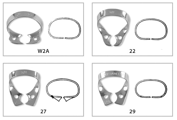 Premolar Clamps - Wingless
