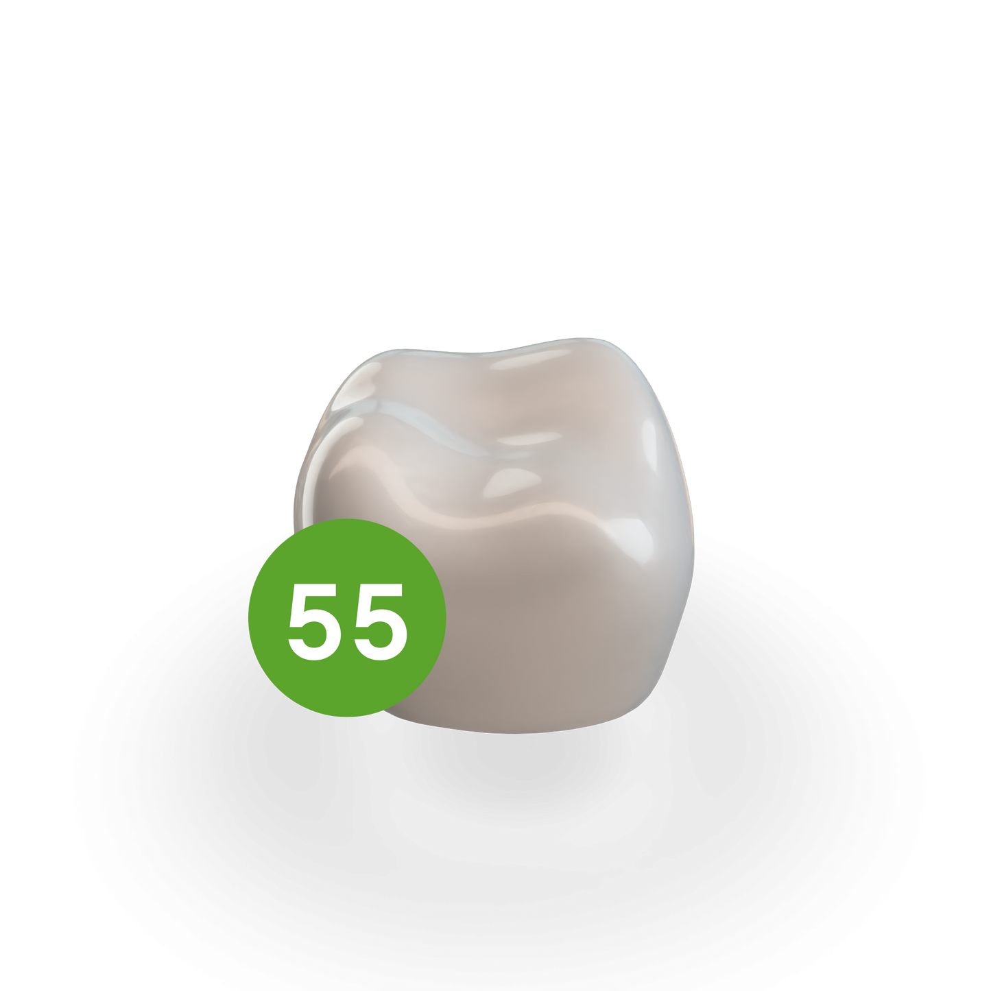Second Molar (URE) Refill Crown