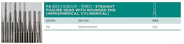 FG Straight Fissure Head with Rounded End