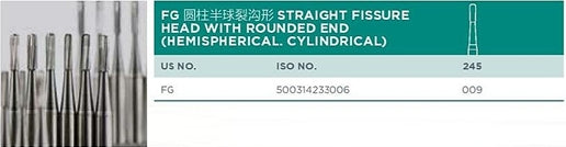 FG Straight Fissure Head with Rounded End